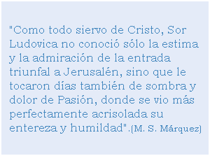 Cuadro de texto: "Como todo siervo de Cristo, Sor Ludovica no conoci slo la estima y la admiracin de la entrada triunfal a Jerusaln, sino que le tocaron das tambin de sombra y dolor de Pasin, donde se vio ms perfectamente acrisolada su entereza y humildad".(M. S. Mrquez)
